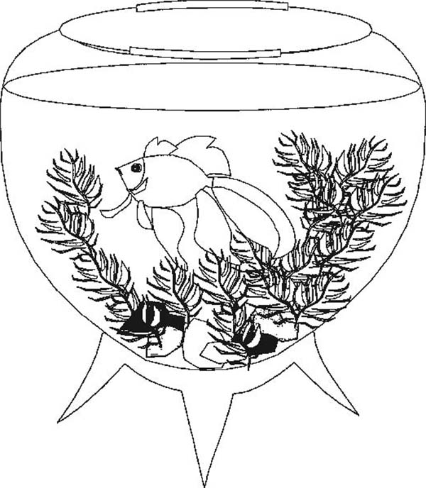 A Very Unique Fish Tank Coloring Page