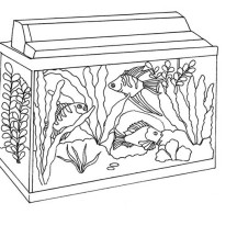 Awesome Fish Tank Coloring Page