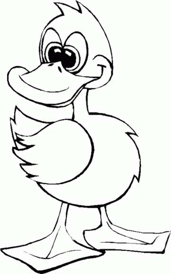 Baby Duck Standing Coloring Page