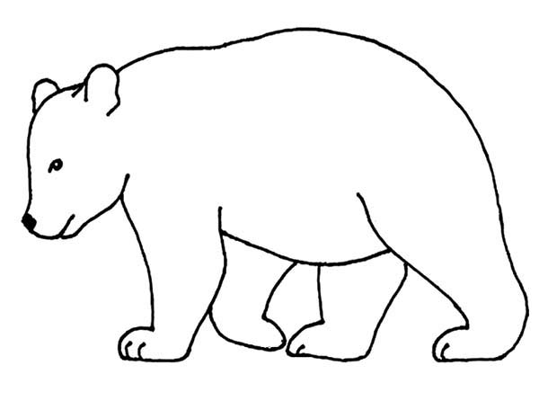 Bear Outline Picture Coloring Page