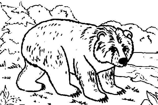Bear in the Jungle Coloring Page