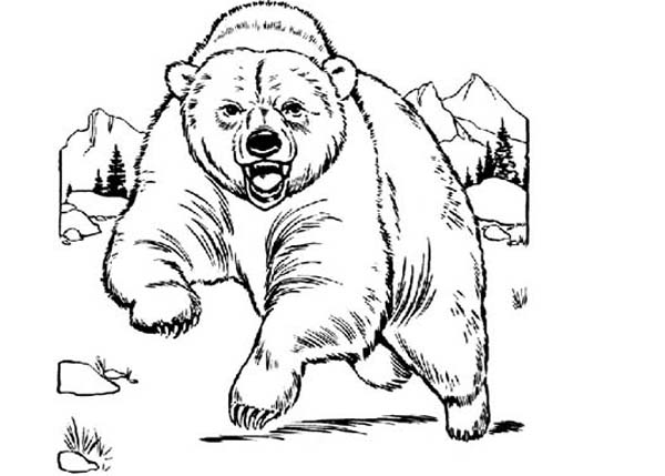 Bear is Angry Coloring Page