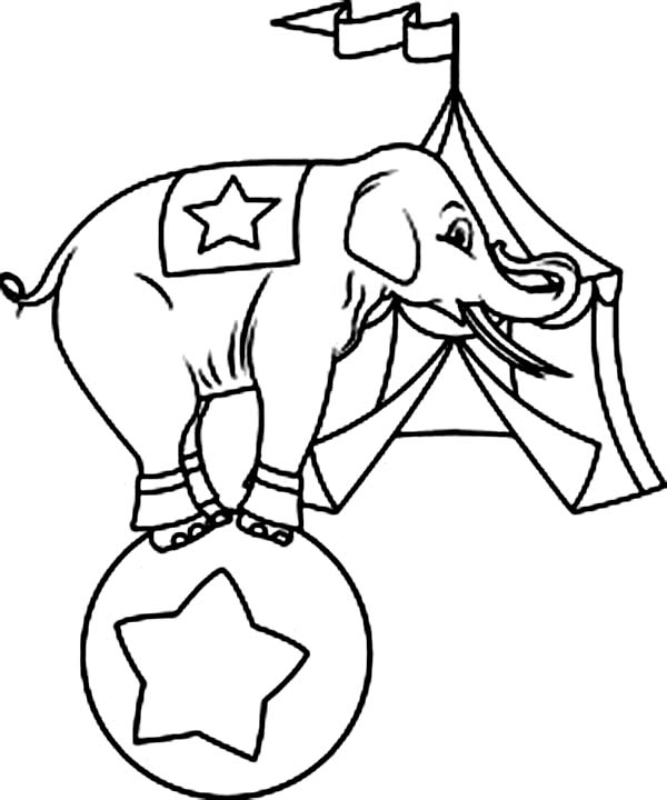 Circus Elephant Standing on a Ball Coloring Page