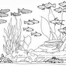 Complete Fish Tank Coloring Page