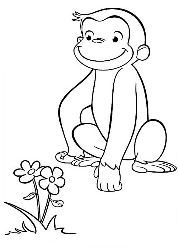 Curious George Found a Beuatiful Flower Coloring Page