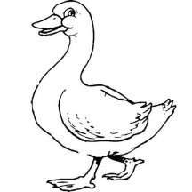 Duck is Smiling Coloring Page