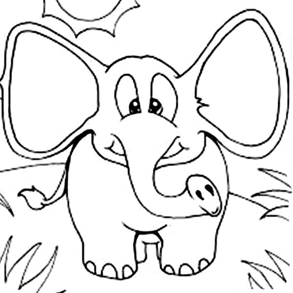 Elephant with Wide Ears Coloring Page