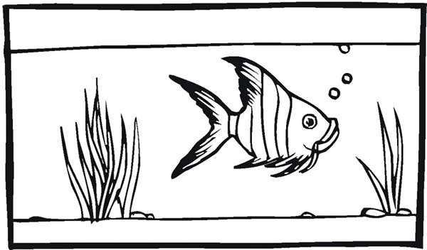 Fish Tank for Angel Fish Coloring Page