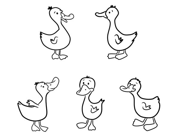 Five Baby Duck Coloring Page
