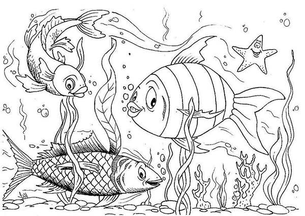 Happy Fishes in Fish Tank Coloring Page