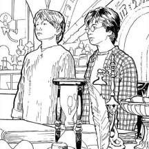 Harry Potter and Ron Weasley Got Detention Coloring Page