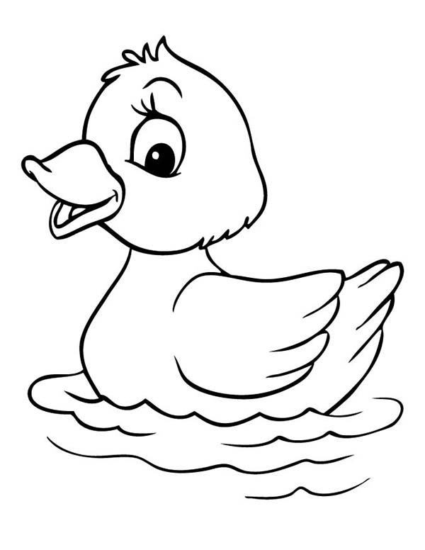 How to Draw Baby Duck Coloring Page