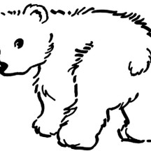 Little Baby Bear Coloring Page