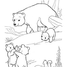 Little Bear Fight Among Themselves Coloring Page
