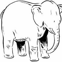 Mother of Elephant Coloring Page