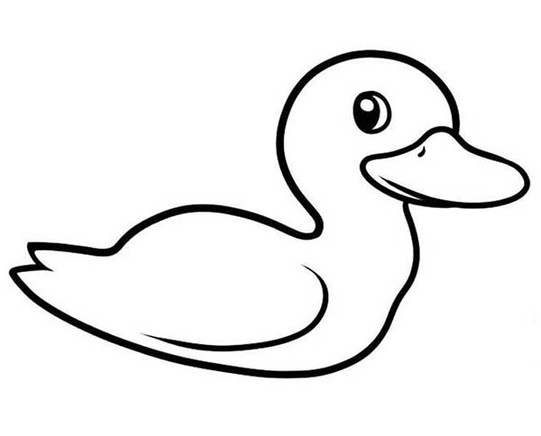 Picture of a Duck Coloring Page