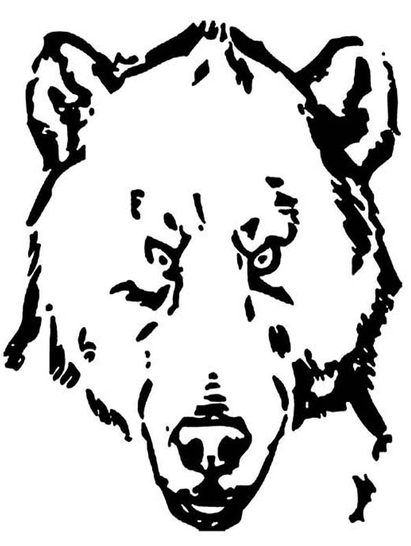 Terifying Grizzly Bear Coloring Page