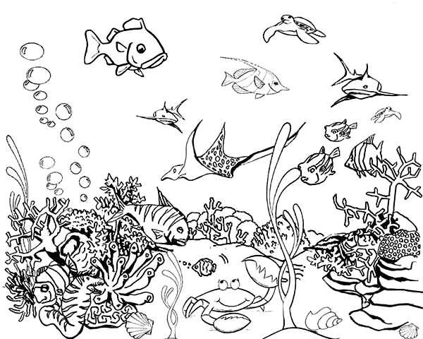 Tropical Fish Tank Coloring Page