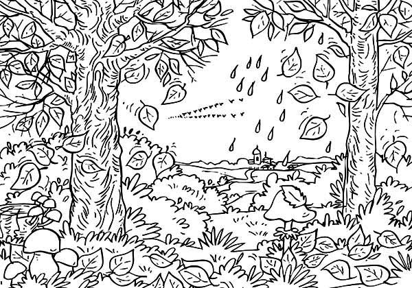 Autumn Leaf in the Forest Coloring Page