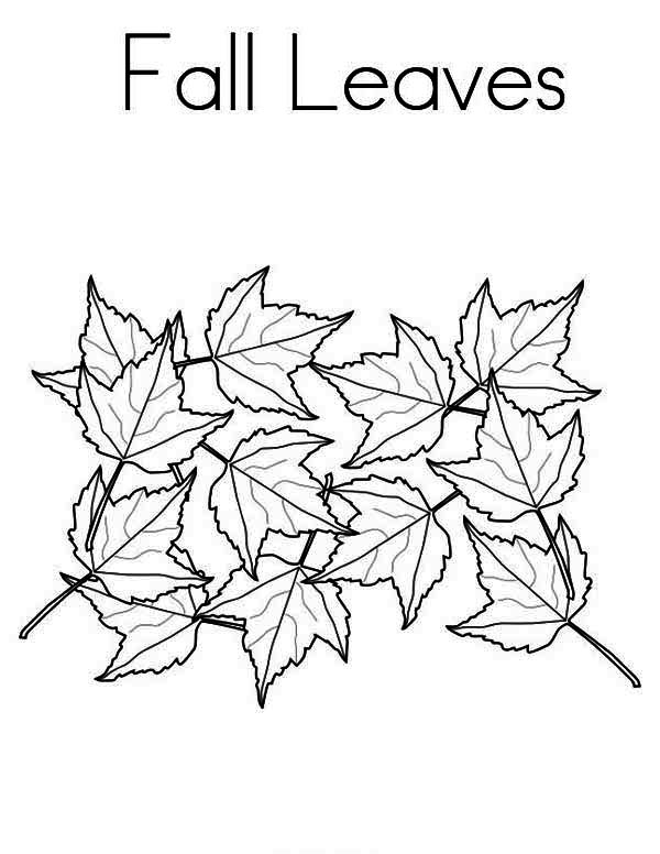 Maple Tree Leaves in Autumn Season Coloring Page