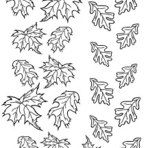 Picture of Maple Autumn Leaf Coloring Page
