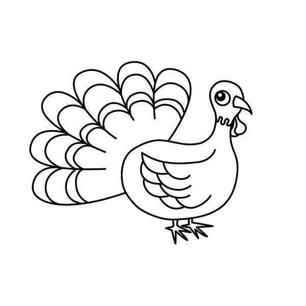 Lovely Canada Thanksgiving Day Turkey in Cartoon Coloring Page