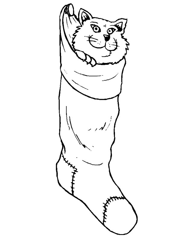Cat Hiding inside Christmas Stockings Coloring Pages