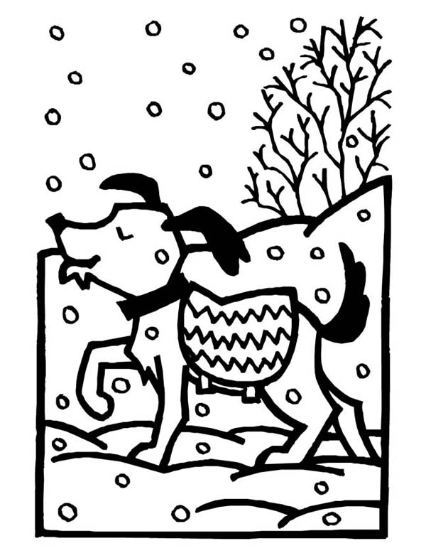 Dog on Warm Sweater During Winter Season Snow Coloring Page