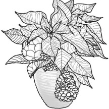 Poinsettia Bouquet for National Poinsettia Day Coloring Page