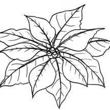 Poinsettia Leaves for National Poinsettia Day Coloring Page