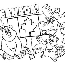 All Canadian Animals on Memorable Canada Day Coloring Pages