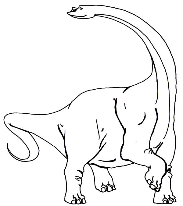 Alpha Male Diplodocus Coloring Pages