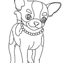 Beautiful Necklace Chihuahua Dog Coloring Pages