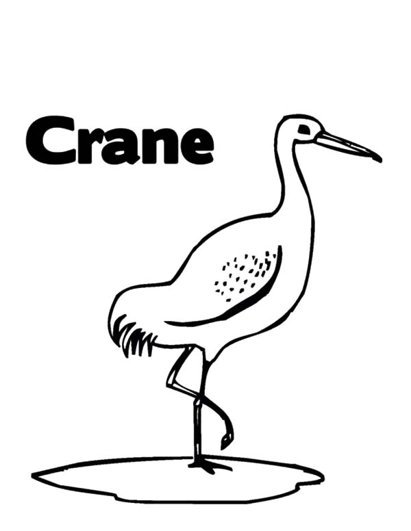 C is for Crane Bird Coloring Pages