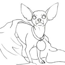 Chihuahua Dog Coloring Pages for Kids