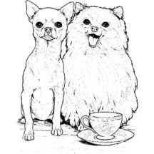 Chihuahua and Pomeranian Dog Coloring Pages