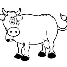 Confused Dairy Cow Coloring Pages