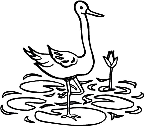 Crane Bird Standing on Lotus Leaf Coloring Pages