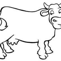 Dairy Cow Chewing Grass Coloring Pages