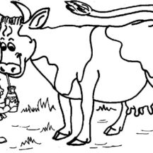 Dairy Cow Drink Little Boy Milk Coloring Pages