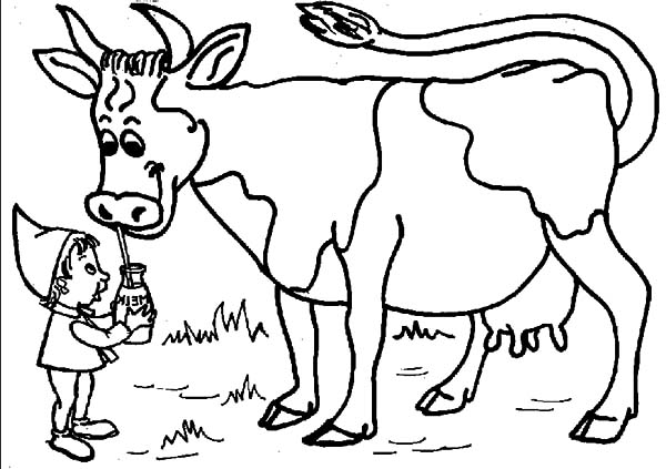 Dairy Cow Drink Little Boy Milk Coloring Pages