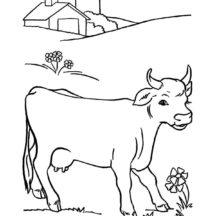 Dairy Cow Found Beautiful Flower Coloring Pages