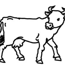 Dairy Cow Outline Coloring Pages