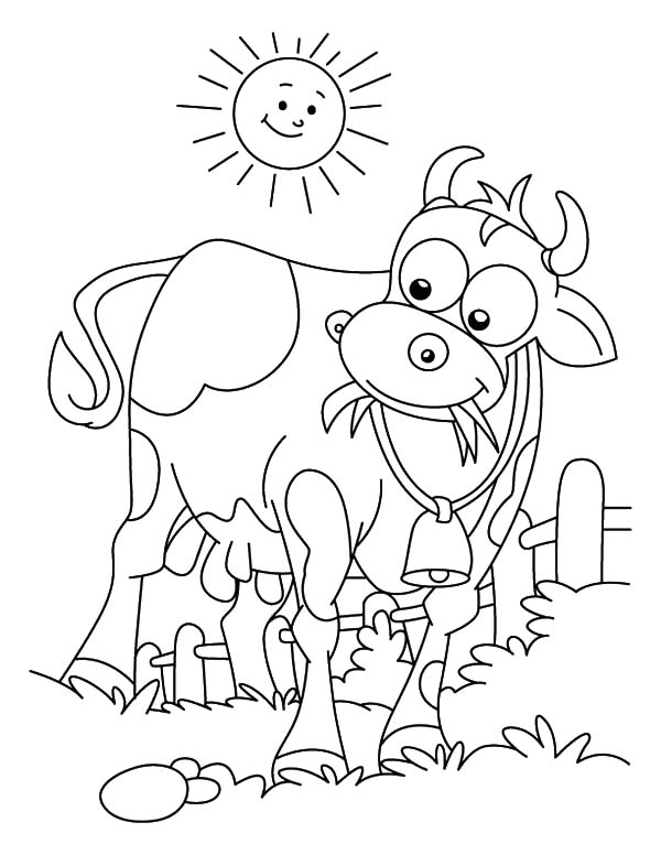 Dairy Cow on the Meadow Coloring Pages