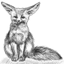 Desert Fox Painting Coloring Pages