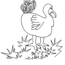 Dodo Bird Stepping on Grass Coloring Pages