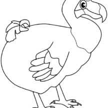 Dodo Bird Unique Beak Coloring Pages