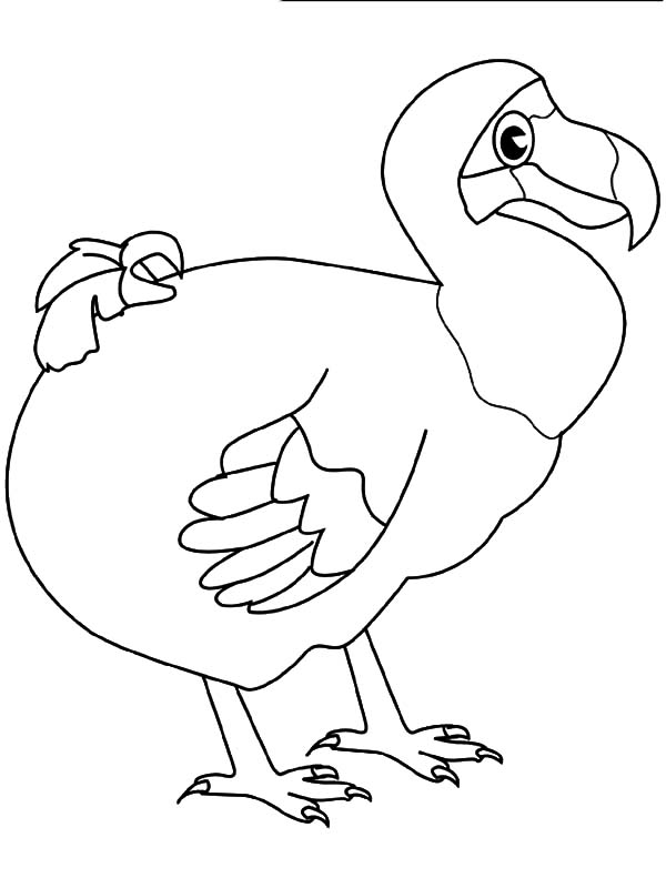 Dodo Bird Unique Beak Coloring Pages