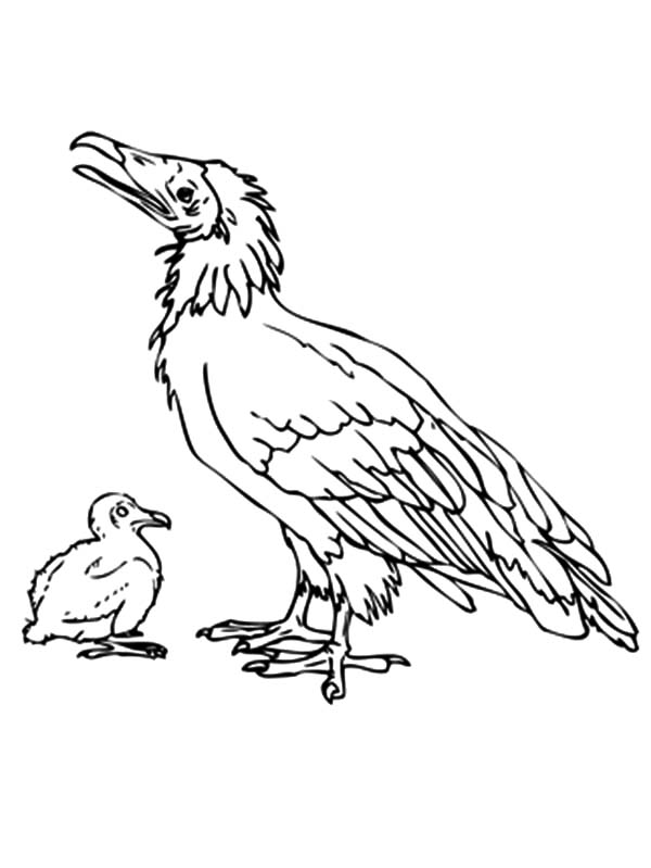 Dodo Bird with Chick Coloring Pages