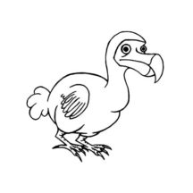 Drawing Dodo Bird Coloring Pages